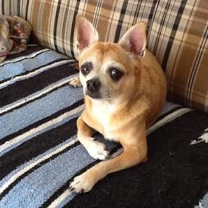 Meet your Posher, Ann